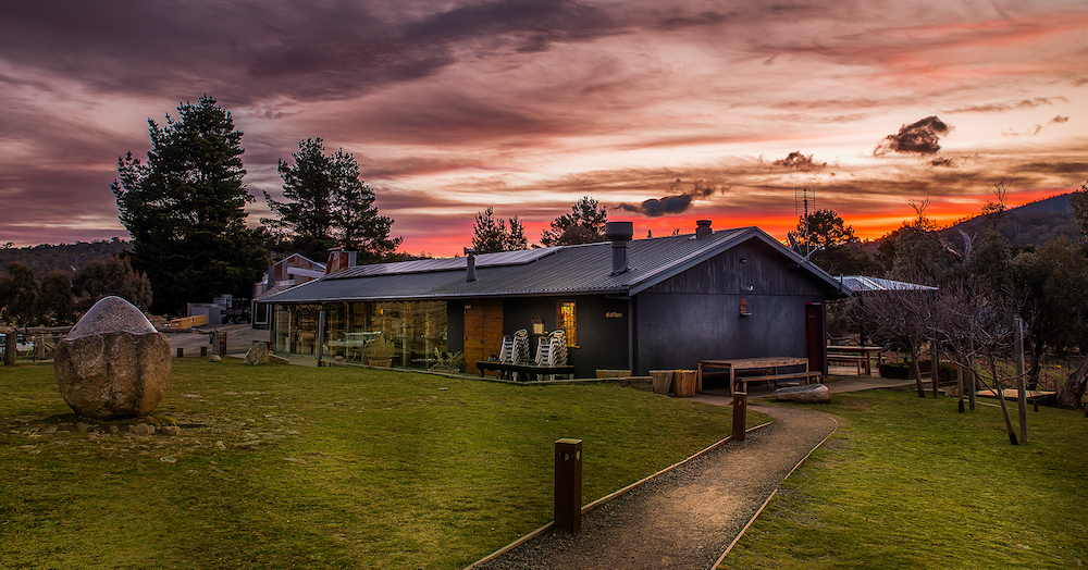 Wild Brumbies Distillery | Rydges Horizons Snowy Mountains